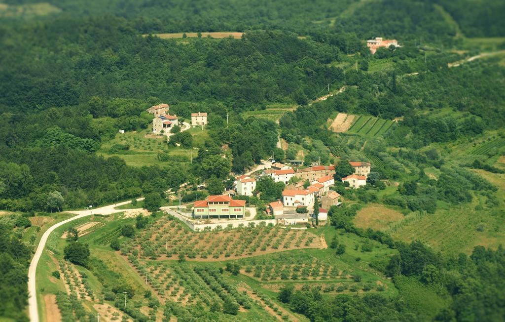 Al Merlo Olivo, Rural Istrian House Buje Exterior foto