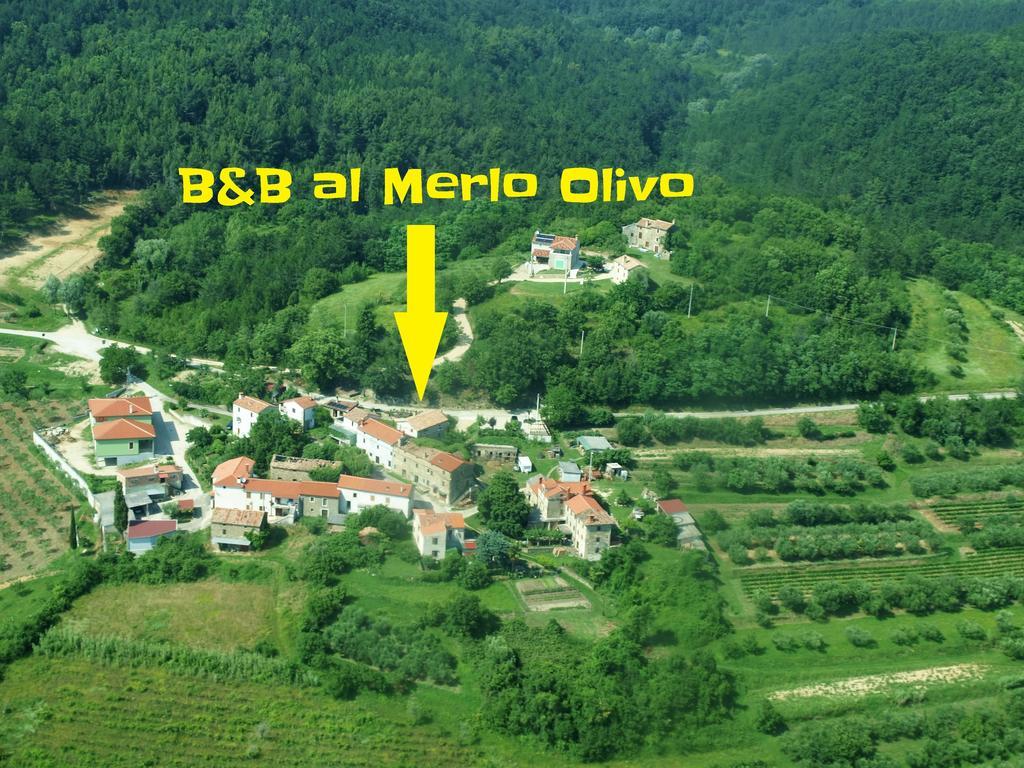 Al Merlo Olivo, Rural Istrian House Buje Exterior foto