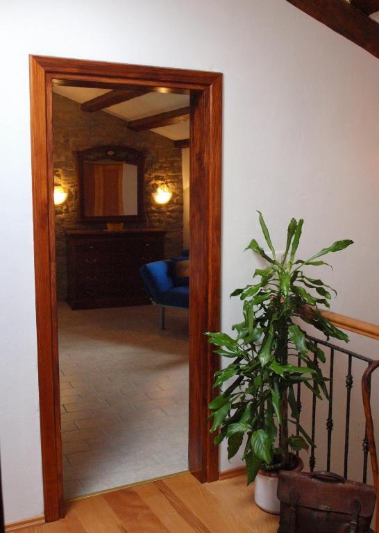 Al Merlo Olivo, Rural Istrian House Buje Zimmer foto