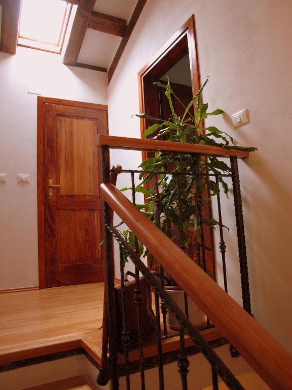 Al Merlo Olivo, Rural Istrian House Buje Exterior foto
