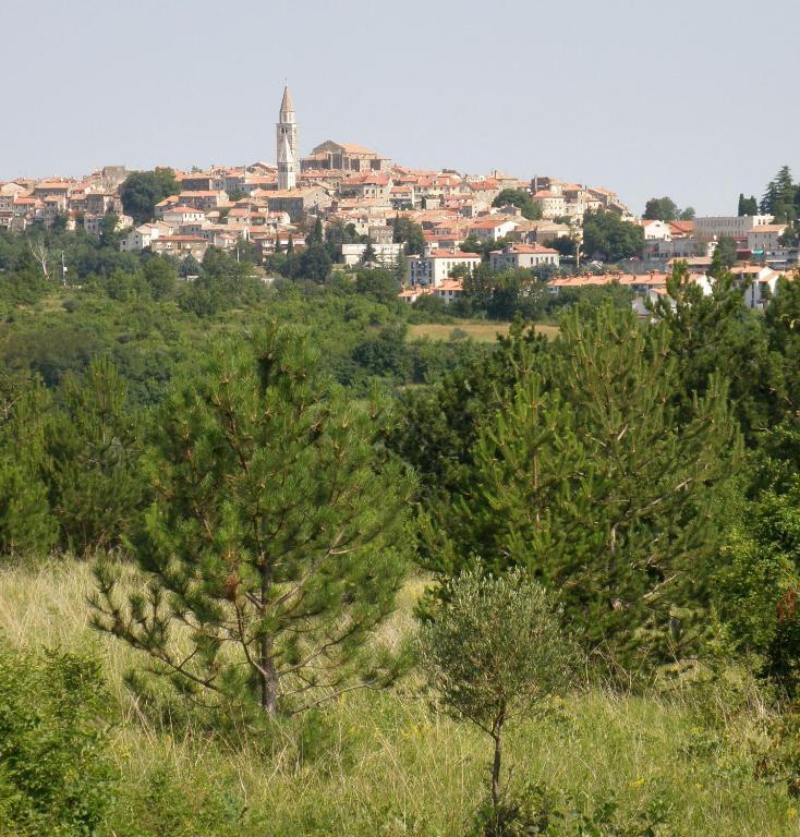 Al Merlo Olivo, Rural Istrian House Buje Exterior foto