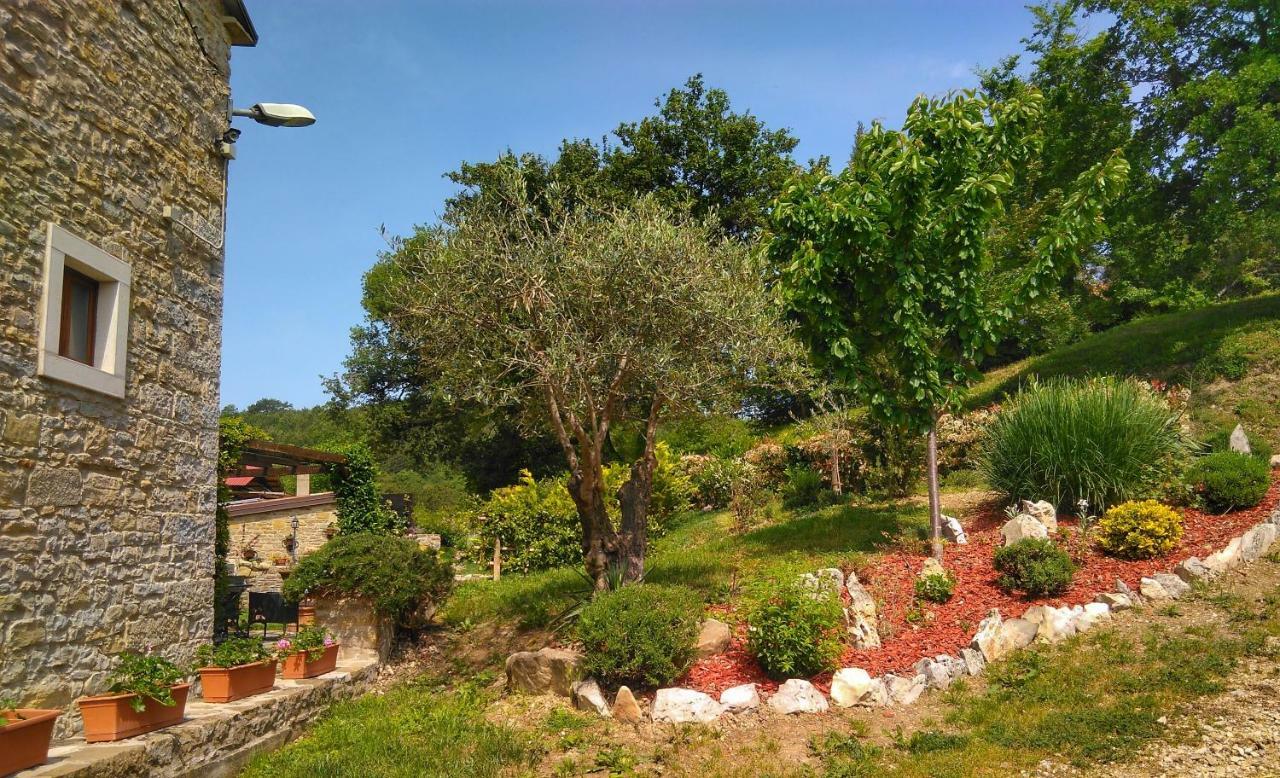 Al Merlo Olivo, Rural Istrian House Buje Exterior foto