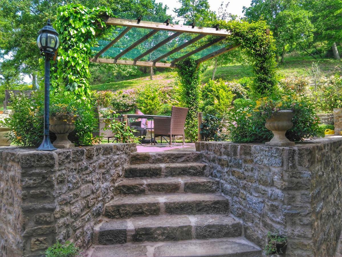 Al Merlo Olivo, Rural Istrian House Buje Exterior foto
