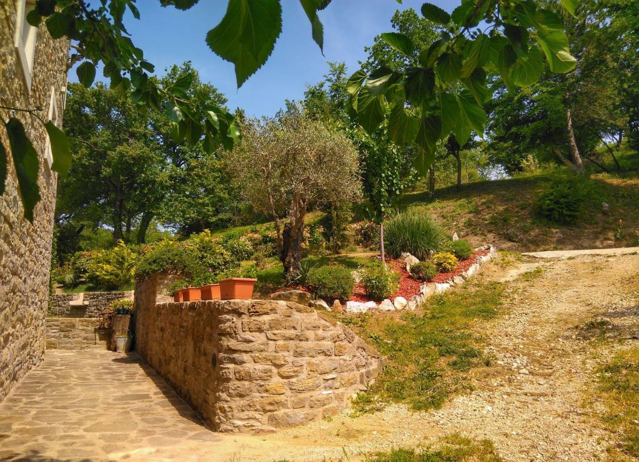 Al Merlo Olivo, Rural Istrian House Buje Exterior foto